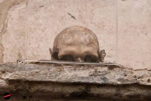 La leggenda del teschio con le orecchie nella Chiesa di Santa Luciella