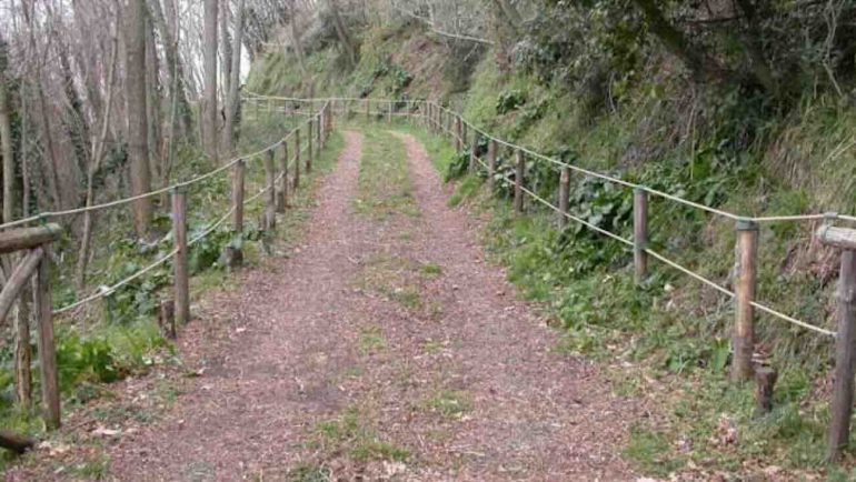 Ottaviano, 78enne muore mentre raccoglie funghi: aggredito da animali selvatici