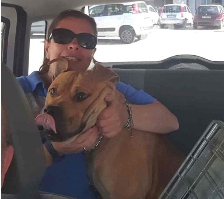 Scampia, cane segregato in una gabbia: salvato dai volontari dopo la denuncia