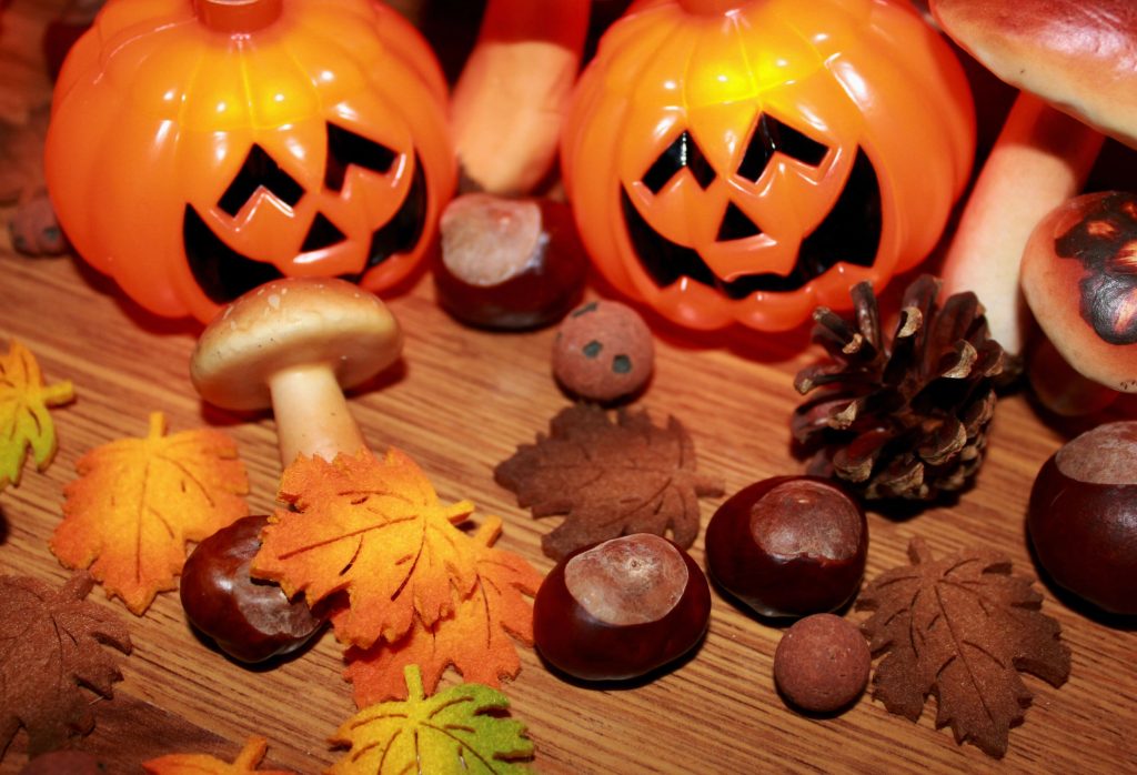 Prodotti della Campania  quali mangiare in autunno per godersi un’esperienza da sogno