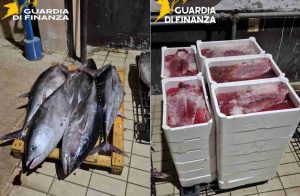 Mercato ittico di Mugnano di Napoli, multe e controlli: sequestrata una tonnellata di pesce