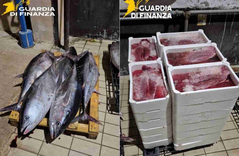 Mercato ittico di Mugnano di Napoli, multe e controlli: sequestrata una tonnellata di pesce