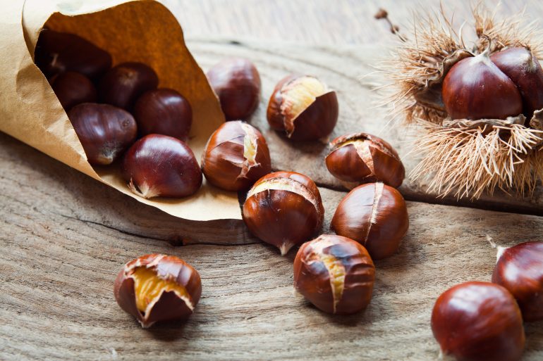 Sagre castagna Campania, quali visitare
