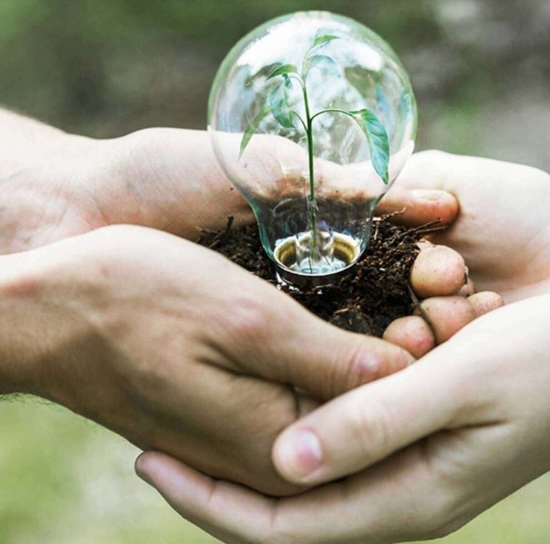 Le diverse fonti di finanziamento per i progetti green