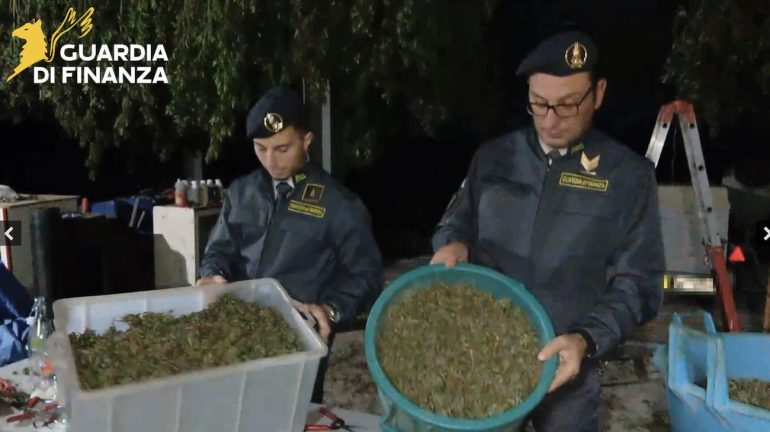 maxi sequestro cannabis