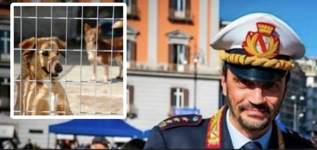 Arzano, oltre 134 cani non più in canile grazie al lavoro della Polizia locale