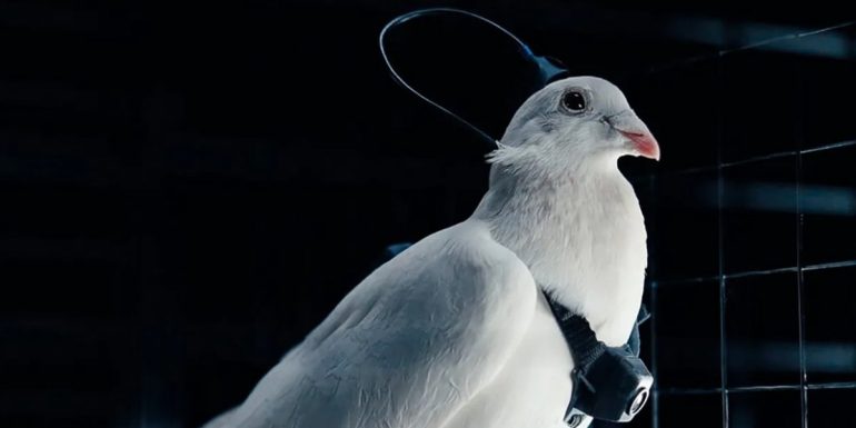 Nella foto, un particolare della vicenda.