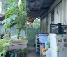 Ischia, 19 anni dopo la frana del Monte Vezzi famiglie ancora nei container