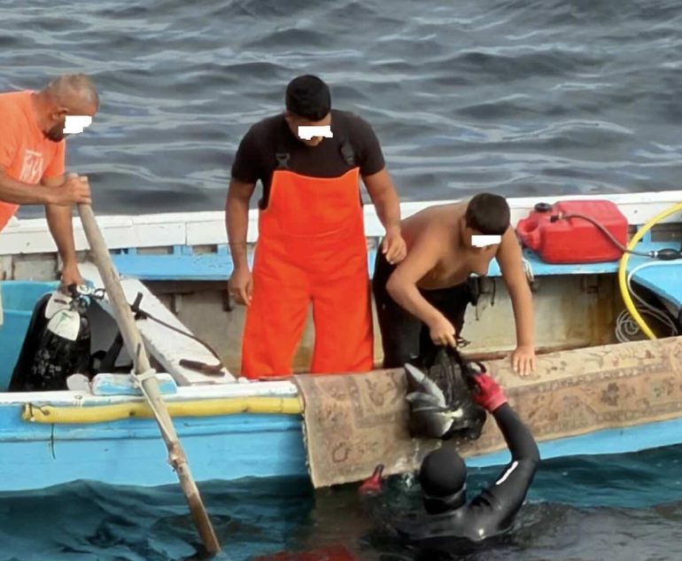 Napoli, pesca di frodo a Posillipo: sub con bombole e fucile fa strage di pesci davanti ai bagnanti