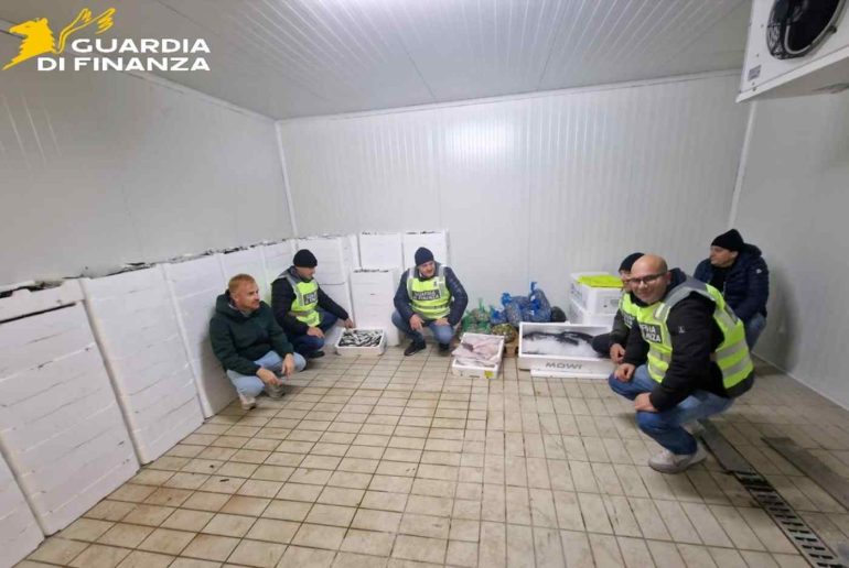 Sequestrati 1.500 chili di pesce senza tracciabilità tra Mugnano e il litorale napoletano