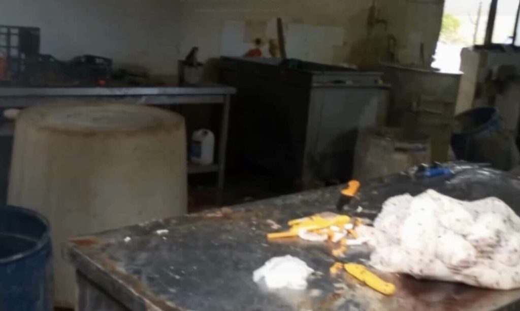 Striano, smantellato laboratorio clandestino: sequestrata una tonnellata di carni e frattaglie