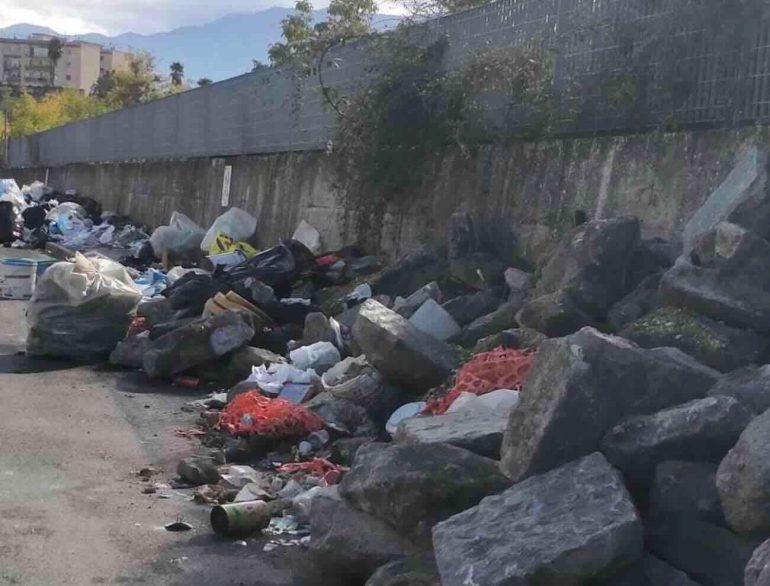 Trecase sommersa dai rifiuti:la denuncia di una studentessa