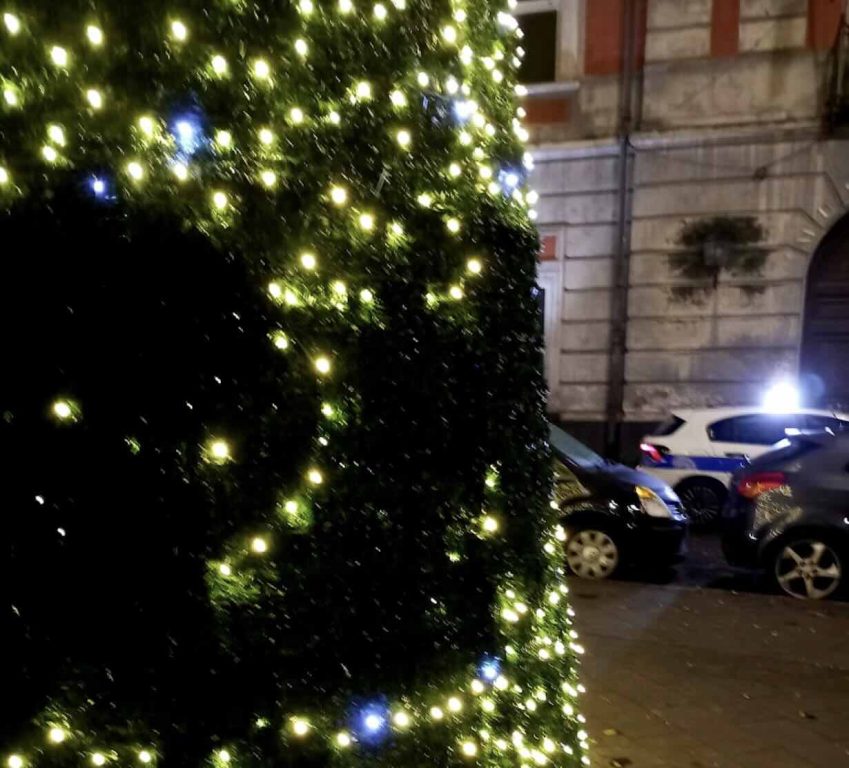 Arzano, a man with a criminal record has been reported for vandalizing the Christmas tree in Piazza Cimmino.