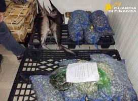 Sequestrati 900 chili di pesce senza tracciabilità al mercato ittico di Mugnano