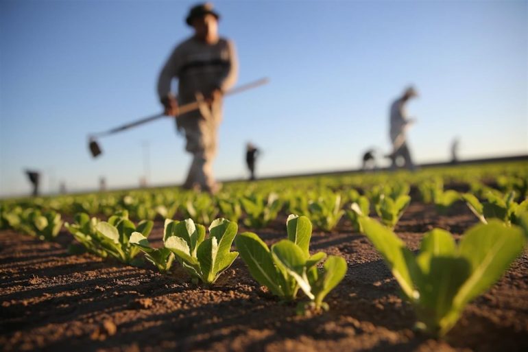 Pizzo agli agricoltori tra Napoli e Caserta: arrestati due affiliati ai Casalesi