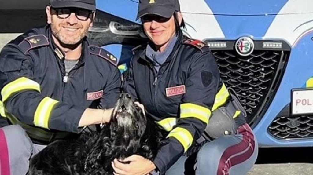 Salerno, cane vagava in autostrada: salvato dalla polstrada