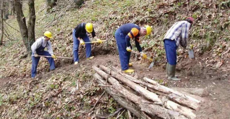 Stabilizzazione negata: 12 operai forestali di Napoli restano precari dopo 16 anni