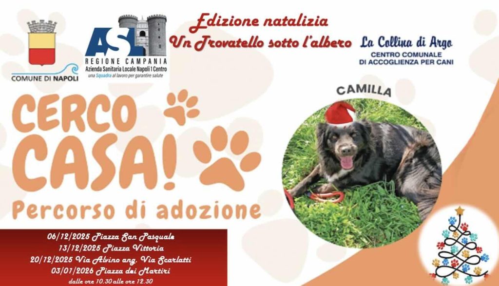 Un “trovatello sotto l’albero”: A Napoli parte la corsa all’adozione consapevole