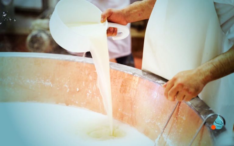 Assolto imprenditore lattiero-caseario di Alvignano