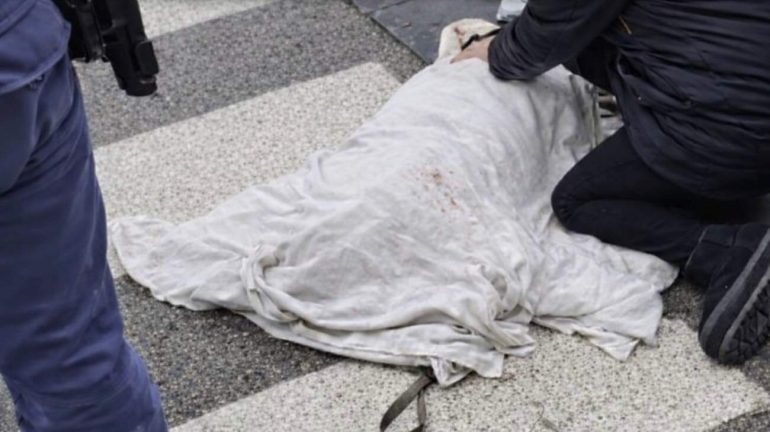Avellino, travolge due cani sulle strisce e scappa: caccia al pirata della strada
