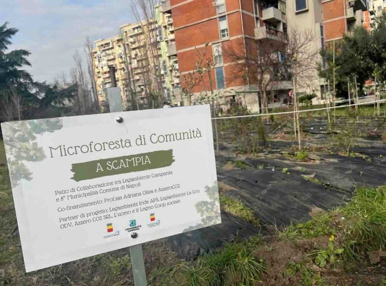 Scampia, piantate 400 piante per la prima microforesta