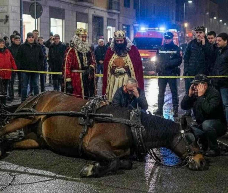Nocera Inferiore, tragedia alla sfilata: cavallo muore in strada, la parata non si ferma