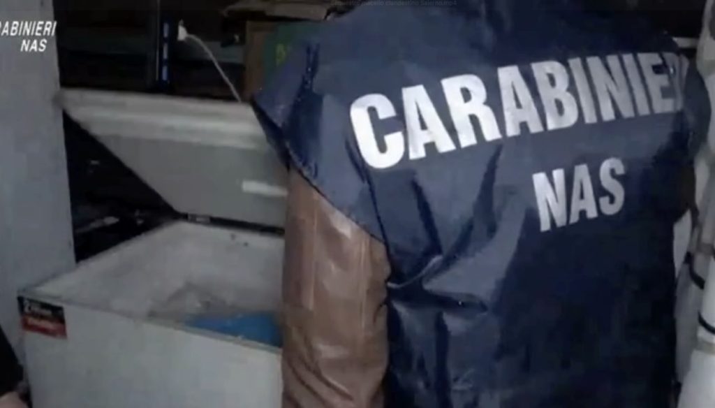 Blitz dei Nas in pasticcerie e case per anziani: sequestrati 12 quintali di alimenti