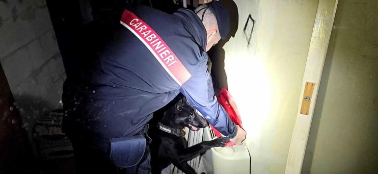 Blitz nei quartieri popolari di Brusciano, Marigliano e Somma Vesuviana: sequestrati fucili, pistole e droga