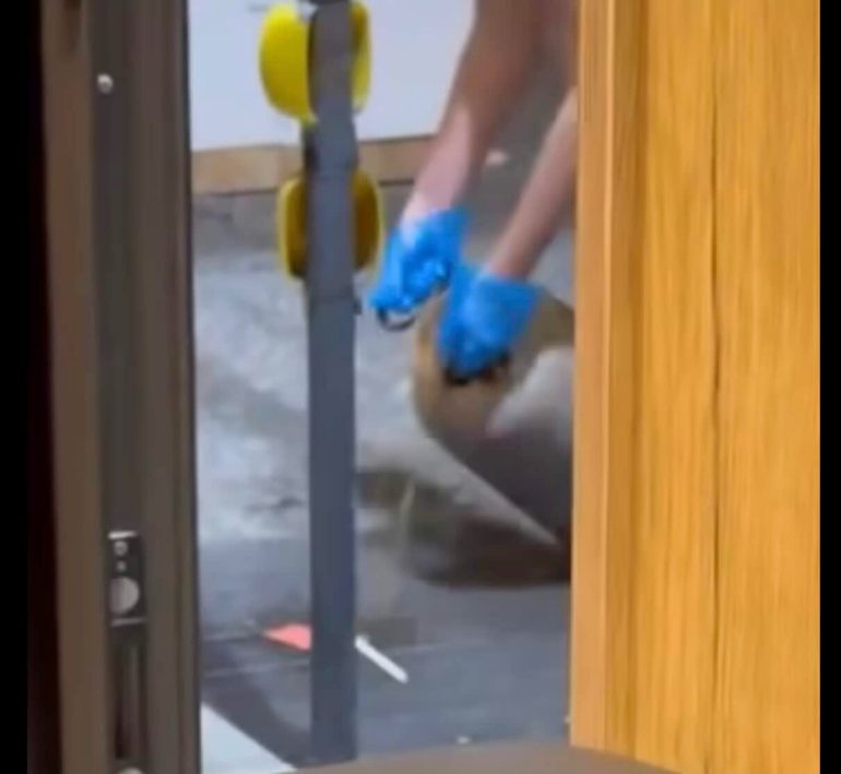 Nella foto, un particolare della vicenda.