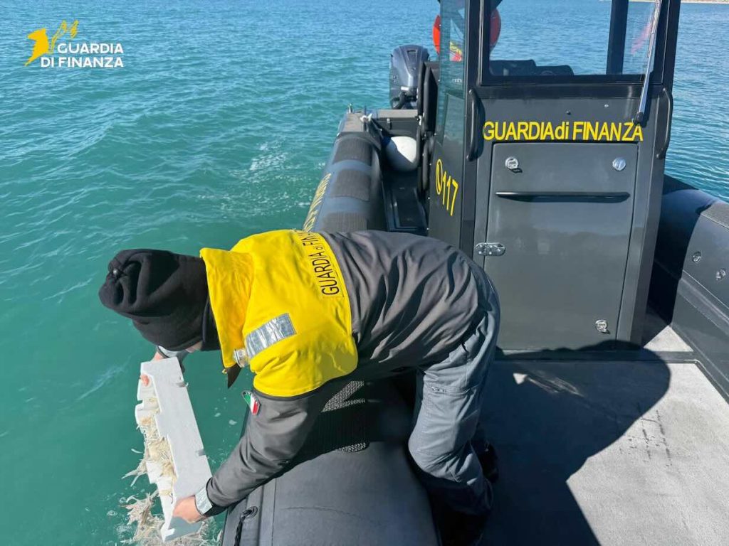 Aequestrati 2.000 ricci e una rete a strascico. Maxi-multa per due sub e un pescatore