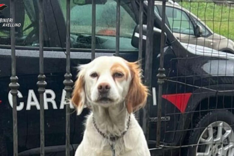 Nella foto, un particolare della vicenda.