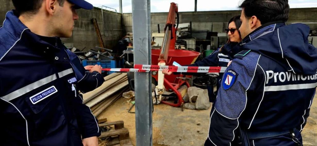 Il sequestro choc: bufale morte date in pasto agli animali e sversamenti illeciti
