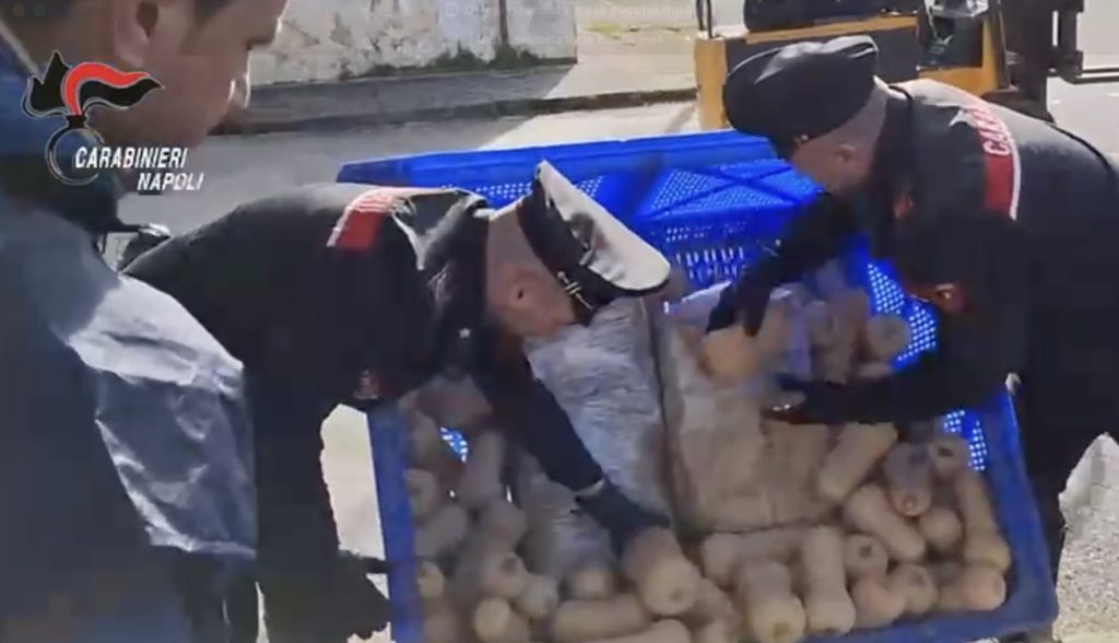 Il tesoro dei narcos tra le zucche: sequestrati 387 chili di hashish sull’Asse Barcellona-Caserta