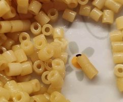 Insetti nei pasti alla scuola di San Sebastiano al Vesuvio, nuove segnalazioni dopo la riapertura della mensa