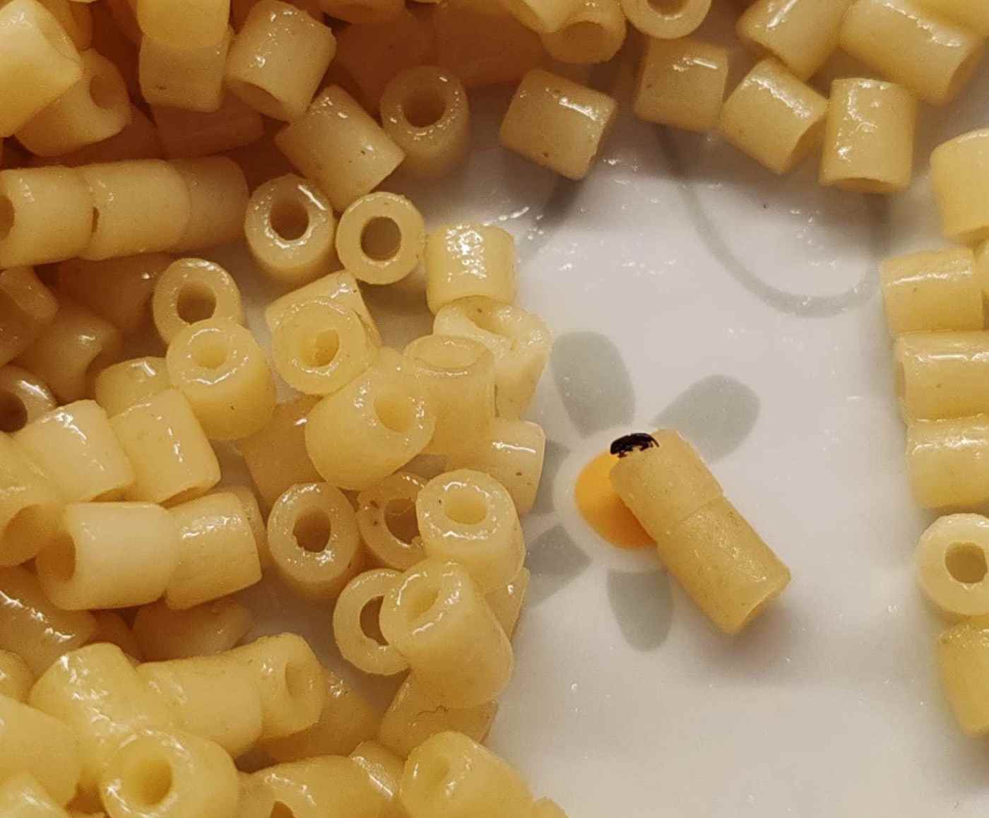 Nell'immagine, un dettaglio legato alla vicenda.