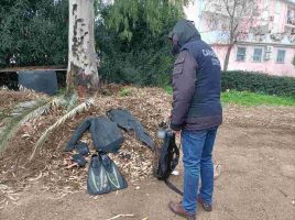Lago Fusaro, pescava vongole in piena area protetta: denunciato un 51enne