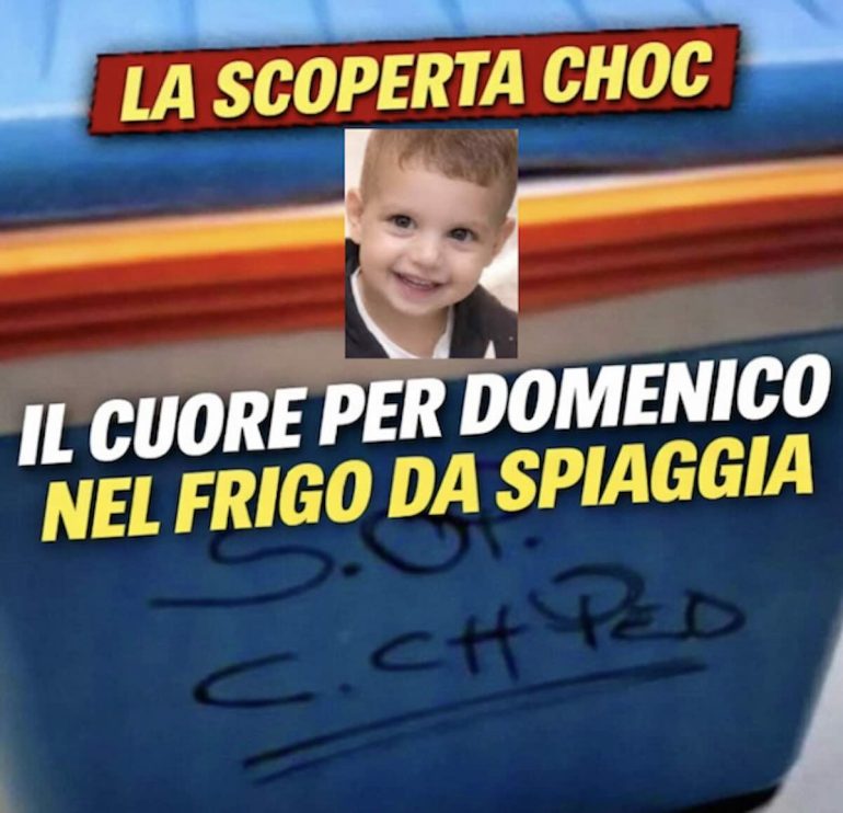 Morte Domenico, attesa per l’autopsia. Virale foto del frigo da mare in cui ha viaggiato il cuore