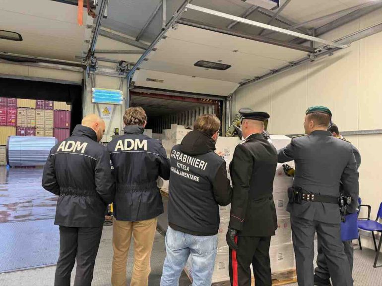 Olio spacciato per extravergine, maxi sequestro al porto di Salerno