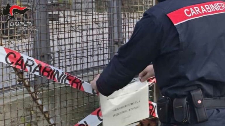 Nella foto, un particolare della vicenda.