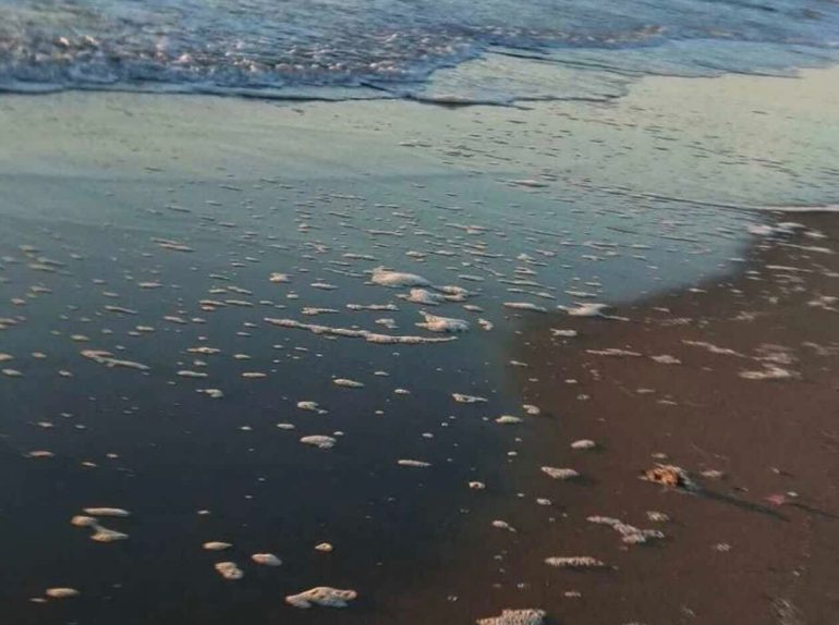 Nell'immagine, un dettaglio legato alla vicenda.