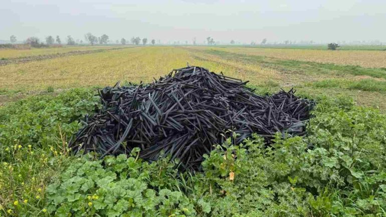 Nell'immagine, un dettaglio legato alla vicenda.
