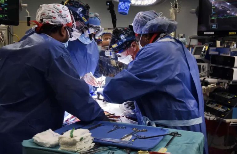 Trapianti, in Italia 48 bambini aspettano un cuore