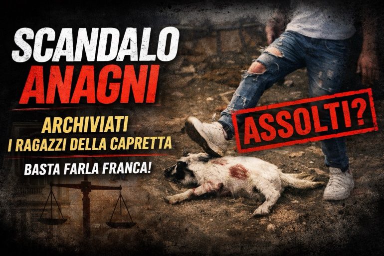 Anagni, la capretta e lo Stato che arretra: quando la giustizia smette di parlare alla coscienza civile