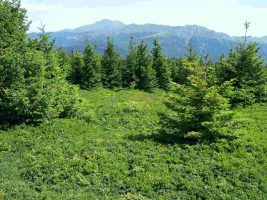 Appennino tosco emiliano, il parco accelera sull’e-mobility