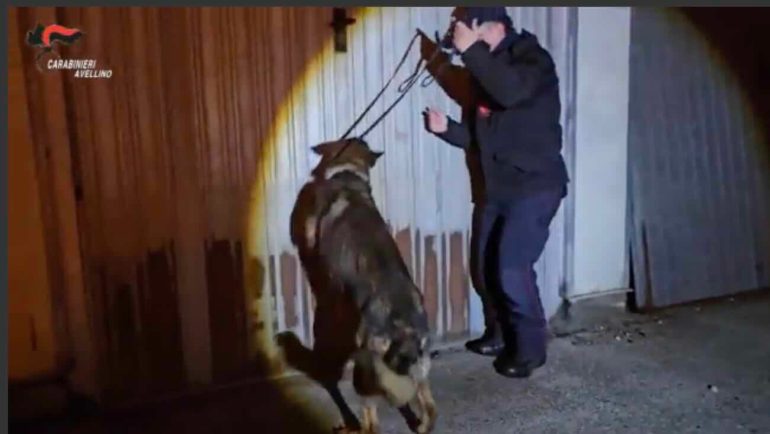 Nella foto, un elemento rappresentativo della vicenda.