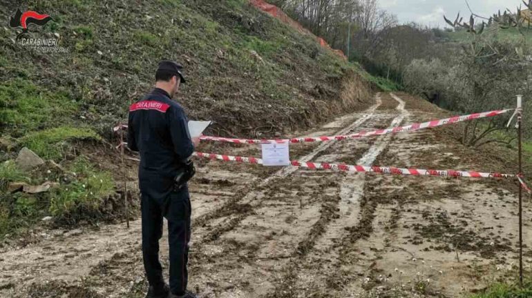 Avellino, strada abusiva tra gli uliveti: tre denunciati e area sequestrata