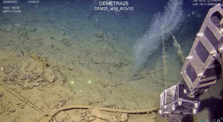 Nella foto, un elemento rappresentativo della vicenda.