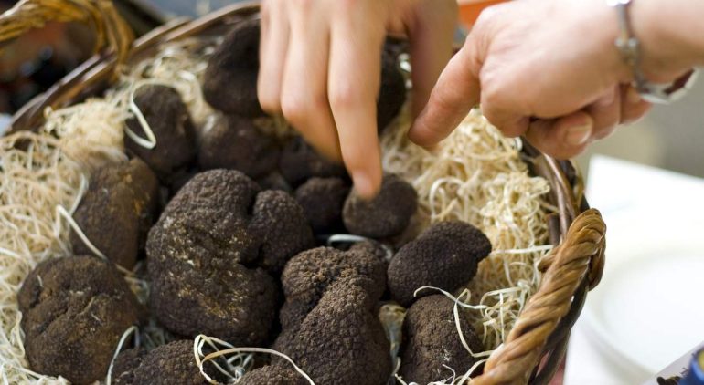 GAL Taburno, tartufo bianco come leva per il Sannio:strategia per valorizzare enogastronomia e risorse locali