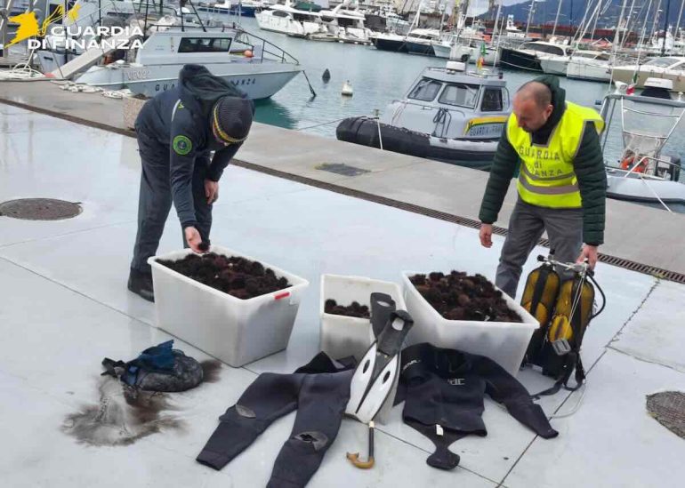 Nell'immagine, un dettaglio legato alla vicenda.