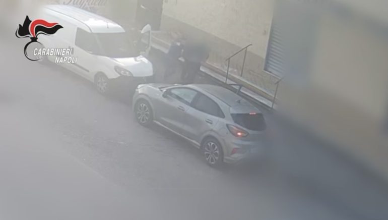 I rapinatori in azione